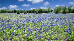 Hoteles cerca de Aeropuerto East Texas Regional