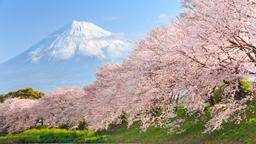 Hoteles cerca de Aeropuerto de Tokio-Narita