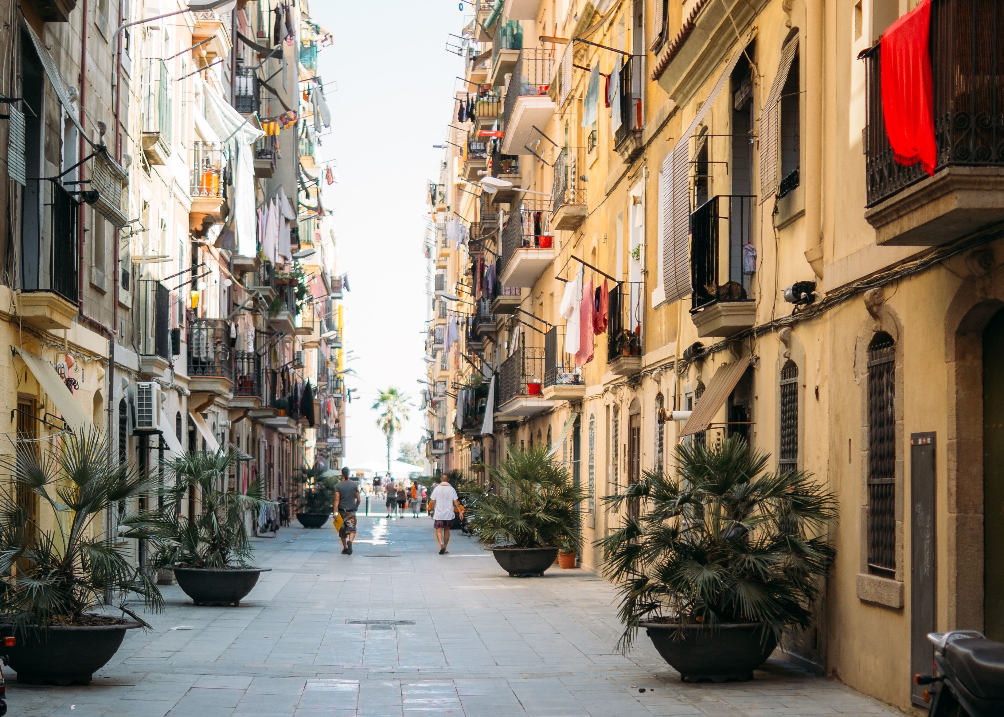 Busca vuelos baratos a Barcelona