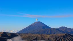 Hoteles cerca de Aeropuerto Malang