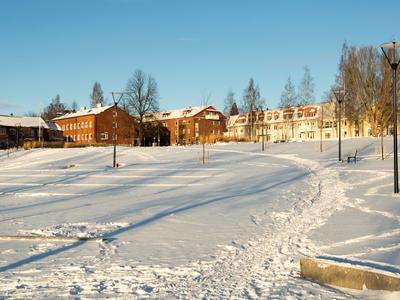 Umeå