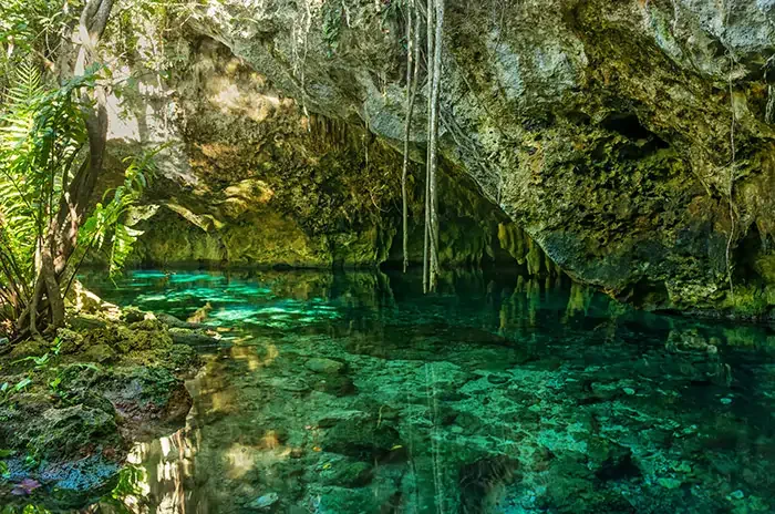 Gran Cenote, Tulum.