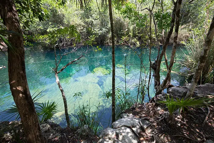 Cenote Escondido, Tulum.