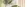 preload
