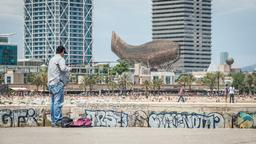 Busca vuelos baratos a Barcelona