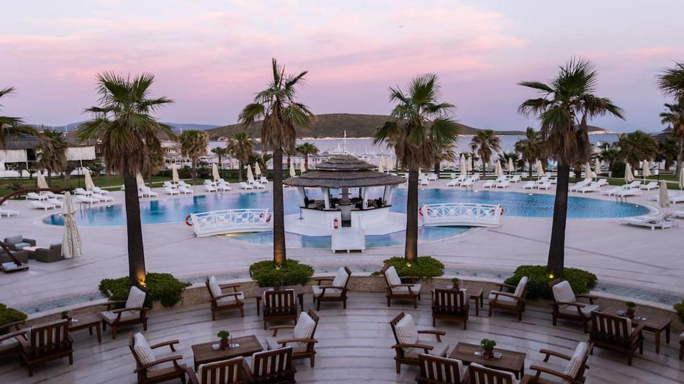 Cocos The Club Solto